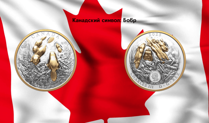 монета Канады нумизматика 2025