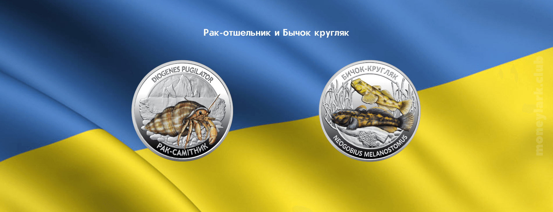 набор монет Украины нумизматика коллекциониорование